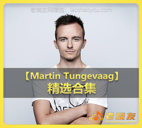 【Martin Tungevaag】wav版